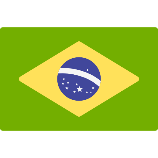 Brazil's flag