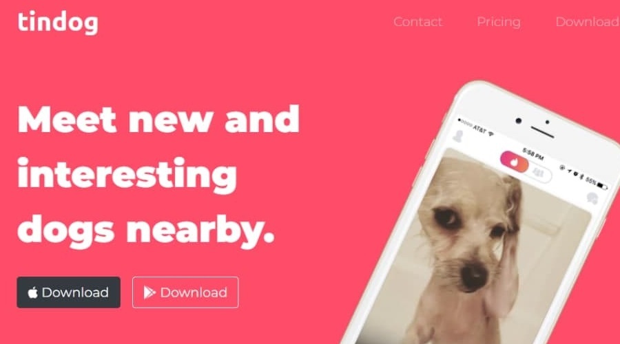 The interface of a website with a dog's photo in a cellphone